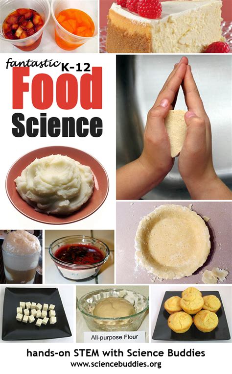The lost food project works to: Fourteen Food Science Projects | Science Buddies Blog ...