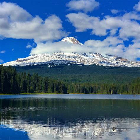 My Picture Of Mt Hood Oregon From Trillium Lake September 26 2017