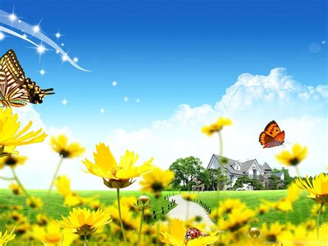 1583 Yellow Butterfly Wallpapers Design