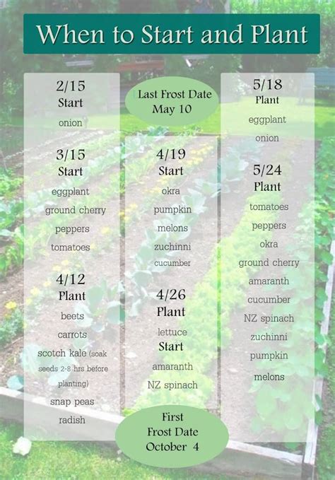 Combat extremeâ„¢ grass seed is one of the few tall fescue grass lawn seed blends available that is 100% weed free! When to Start and Plant Zone 5 - The Herbal Spoon