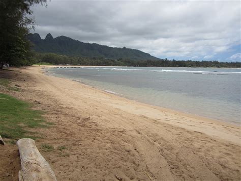 Anahola Beach Park Kauai Beach Scoop