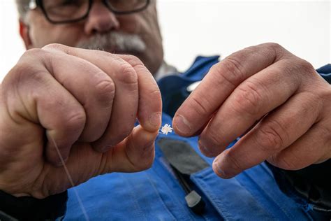 How Microfishing Took The Angling World By Very Small Storm Hakai