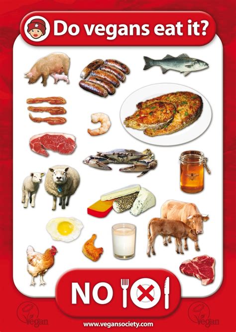 78+ images about VEG Facts (can't argue with these) on Pinterest