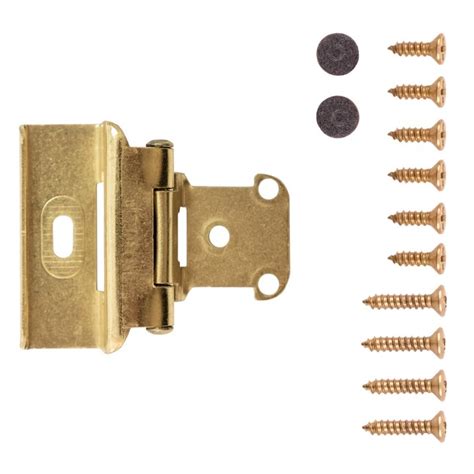 Hickory Hardware 2 Pack 12 In Overlay Polished Brass Self Closing