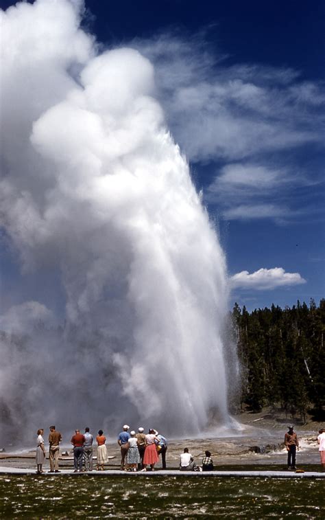 Giant Geyser Erupts After Over Five Years Yellowstone Insider