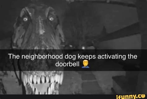 The Neighborhood Dog Keeps Activating The Doorbell