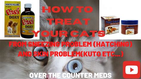 Colds in cats are minor respiratory infections, but they still need to be treated. OVER THE COUNTER MEDICINE FOR OUR CAT SNEEZING AND SKIN ...