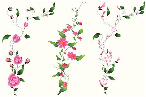Royalty Free Flower Vine Clip Art Vector Images And Illustrations Istock