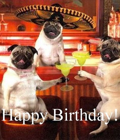 13 best birthday greeting mostly smart ass ones images on pinterest birthday greetings