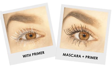 What Are The Best Eyelash Primers Belashed