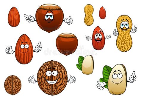 Cartoon Isolated Funny Nuts Characters Stock Vector Illustration Of
