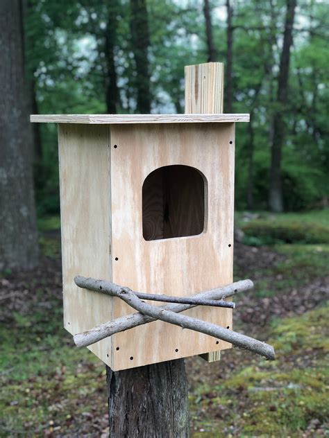 Pine Barred Owl Nest Box Custom Options Available Etsy