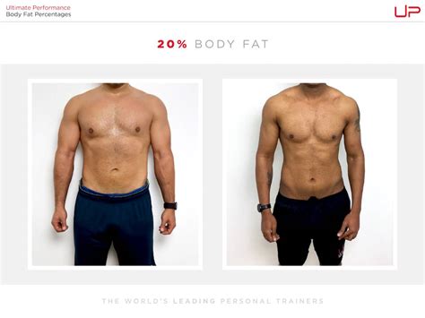 Male Body Fat Percentage Rate Visual Guide 2023