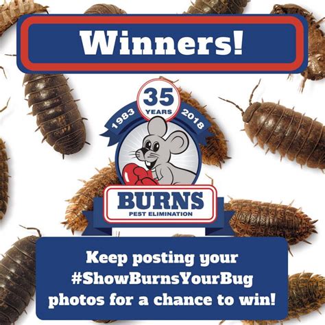 Burns pest is a top pest control company servicing phoenix, tucson, & las vegas with realtor pest control. Burns Pest Elimination - Home | Facebook