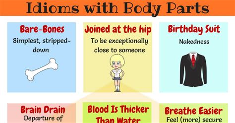 Ankle, aorta, back, backwards, bite, blue+eyes, body, body parts, bone, brain, brown eyes, butt, calf, calves, cartoon eyes. 15+ Interesting Idioms Related to Weather in English ...