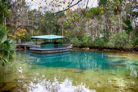 Springs At Homosassa Florida State Parks