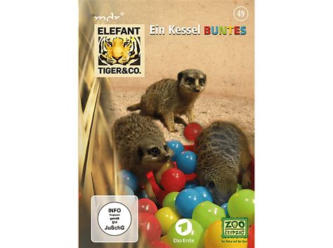 Elefant Tiger And Co 49 Ein Kessel Buntes Dvd Online Kaufen Mediamarkt
