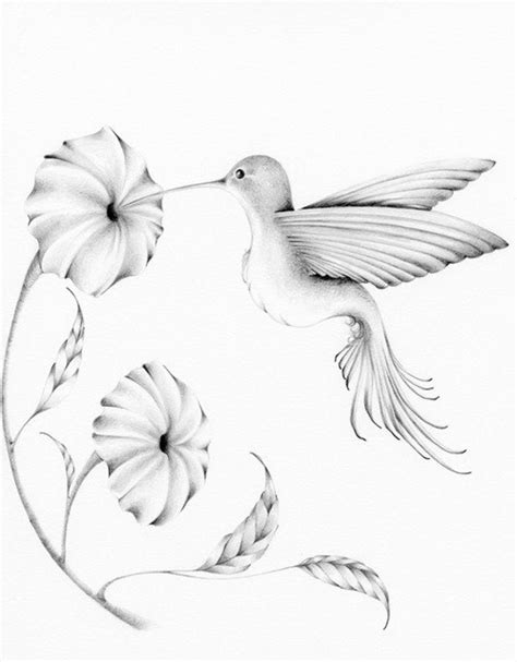 Hummingbird Drawing Made to Order Custom Artwork Personalized