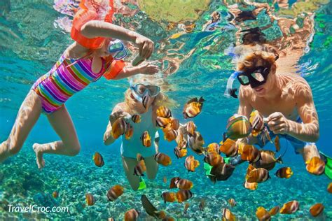 Snorkeling In Puerto Rico Explore The Best Beaches Reefs And Marine Life