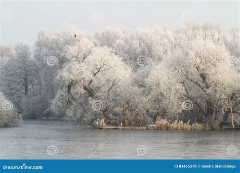 A Winter Scene Of A Frozen Lake And Frosty Trees Stock Photo Image