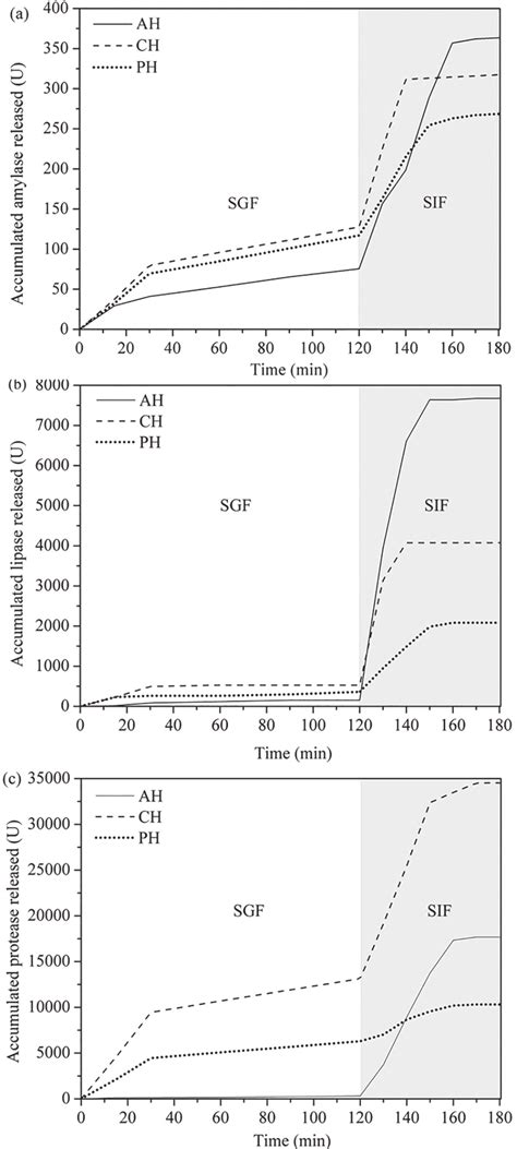 Herzlich willkommen zum großen produktvergleich. (a) α-Amylase; (b) lipase and (c) protease release profile ...