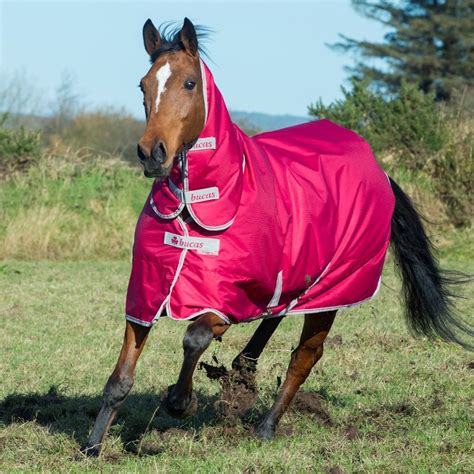 Bucas Freedom 150g Combo Turnout Rug - Horse from Fearns Farm UK