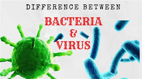 Bacteria Vs Virus Difference Between Bacteria And Virus In 5 Min L