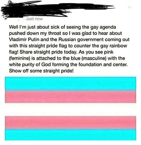 Image captionthe 'straight pride flag' featured on super happy fun america's website. When you think the trans pride flag is a straight pride ...