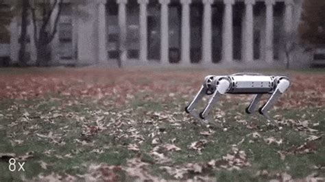 Le robot mini guépard rapide du MIT apprend à faire un saut périlleux