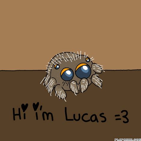 Lucas the spider new friend. Lucas the Spider.. :3 - FlipAnim