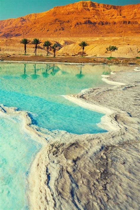 #3 best value of 14 places to stay in dead sea region. The Dead Sea | Places to travel, Places to visit, Places ...