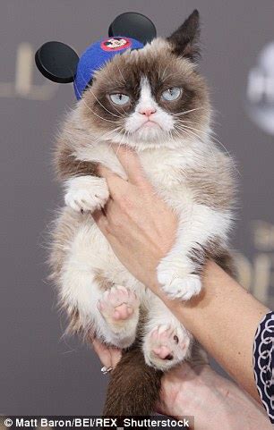 Famous cat names are fun options because so many people will instantly recognize the name and enjoy the nostalgia! Melissa the 'Einstein' feline loves to stick out her VERY ...