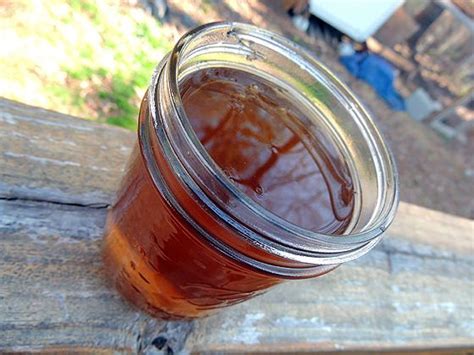 Learn a unique and innovative brewing method for your tea. How to Make Vermicompost Tea | Compost tea, Worm ...