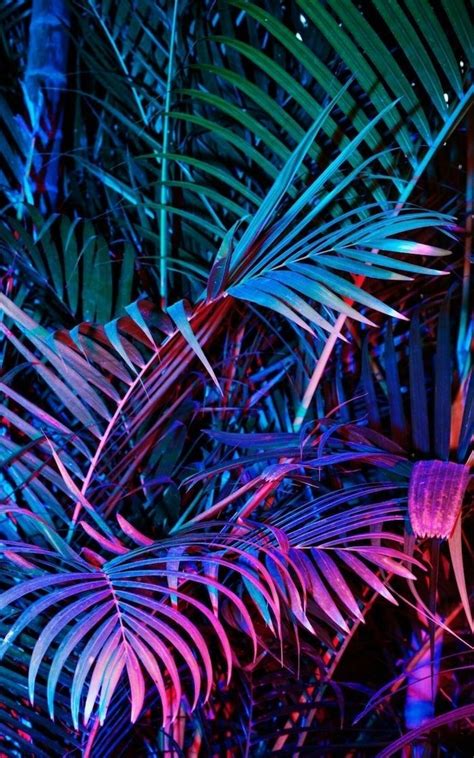 1001+ ideas for a gorgeous aesthetic wallpaper for phone and laptop