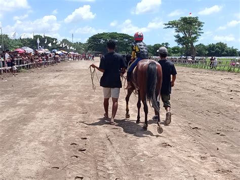 Kejuaraan Balap Kuda Gubernur Cup 2022 Digelar Keterlibatan Joki Cilik