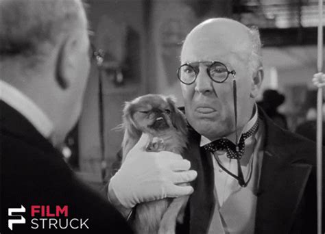 Pre Code Dog  By Filmstruck Find And Share On Giphy