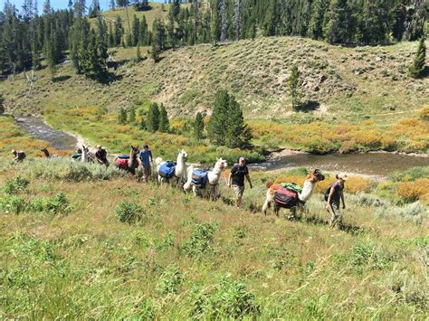 Backpacking In Yellowstone And Backcountry Camping Trips In Our Nature