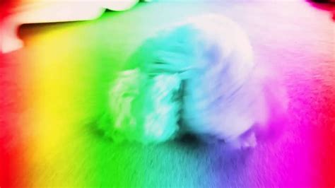 Pink Fluffy Unicorns Dancing On Rainbows 🌈 🦄 Youtube