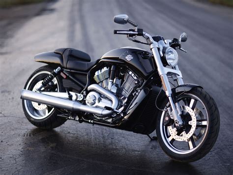 Harley Davidson Vrscf V Rod Muscle Photos Photogallery With 8 Pics
