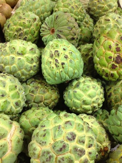 The three words guanabana, graviola and soursop can be used interchangeably. 7 Exotic Fruits from the Amazon to Try ... Food