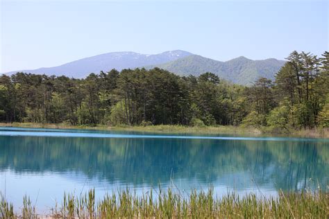 Free Picture Water Lake Landscape Tree Nature Forest Reflection