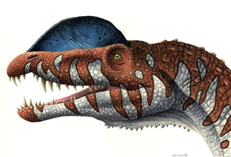 Dilophosaurus By Esthervanhulsen On Deviantart Dilophosaurus