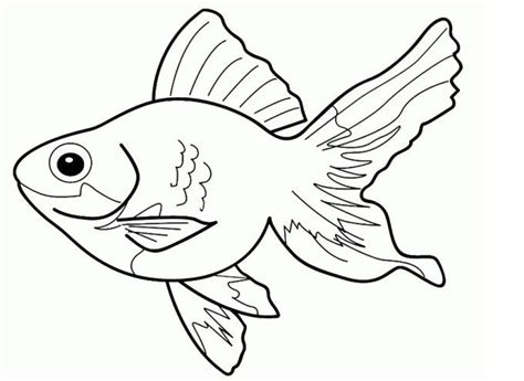 Gambar ikan nemo untuk mewarnai. Download Himpunan Contoh Gambar Ikan Mewarna Yang Menarik ...