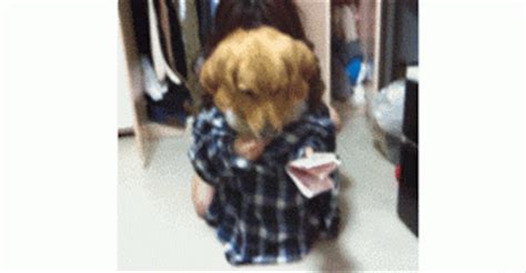 These funny dog gifs are guaranteed to turn your frown upside down. Welcome: GIF ~ Just a Dog counting his Money ~ It ain't much