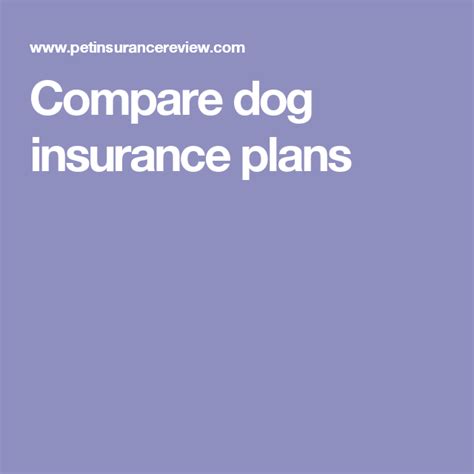 Compare dog insurance plans (With images) | Pet insurance ...