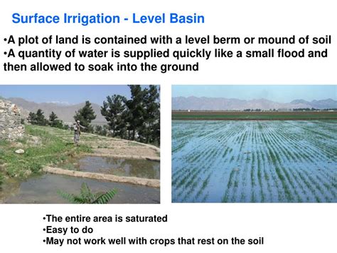 ppt introduction to surface irrigation powerpoint presentation free download id 349658