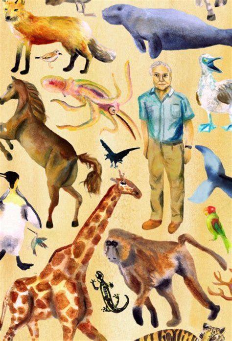 Pin by Minerva Tarot on Happiness | David attenborough, Portrait, Art