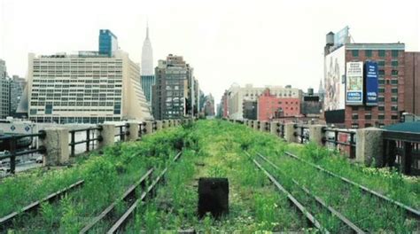 Nature appears in each chapter of cry, the. t r a c e | w o r k: Nature vs. Urbanity