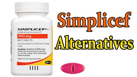Simplicef For Dogs Urinary Tract Infection Uti In Dogs