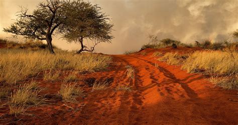 African Landscape Painting Wallpapers Top Free African Landscape